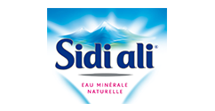 Sidi ali